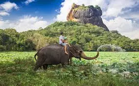 تور سریلانکا